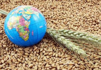Фото до матеріалу: Ціни на продукти сягають світових рекордів