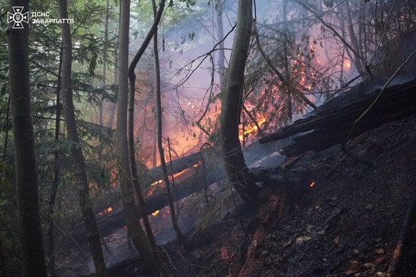 Фото до матеріалу: Лісова пожежа на Закарпатті: вогонь охопив 75 гектарів, рятувальники працюють у посиленому режимі
