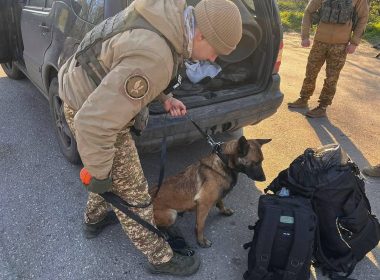 Фото до матеріалу: Приватна фірма побудувала будинки на землях лісу, прокуратура вимагає повернення державі