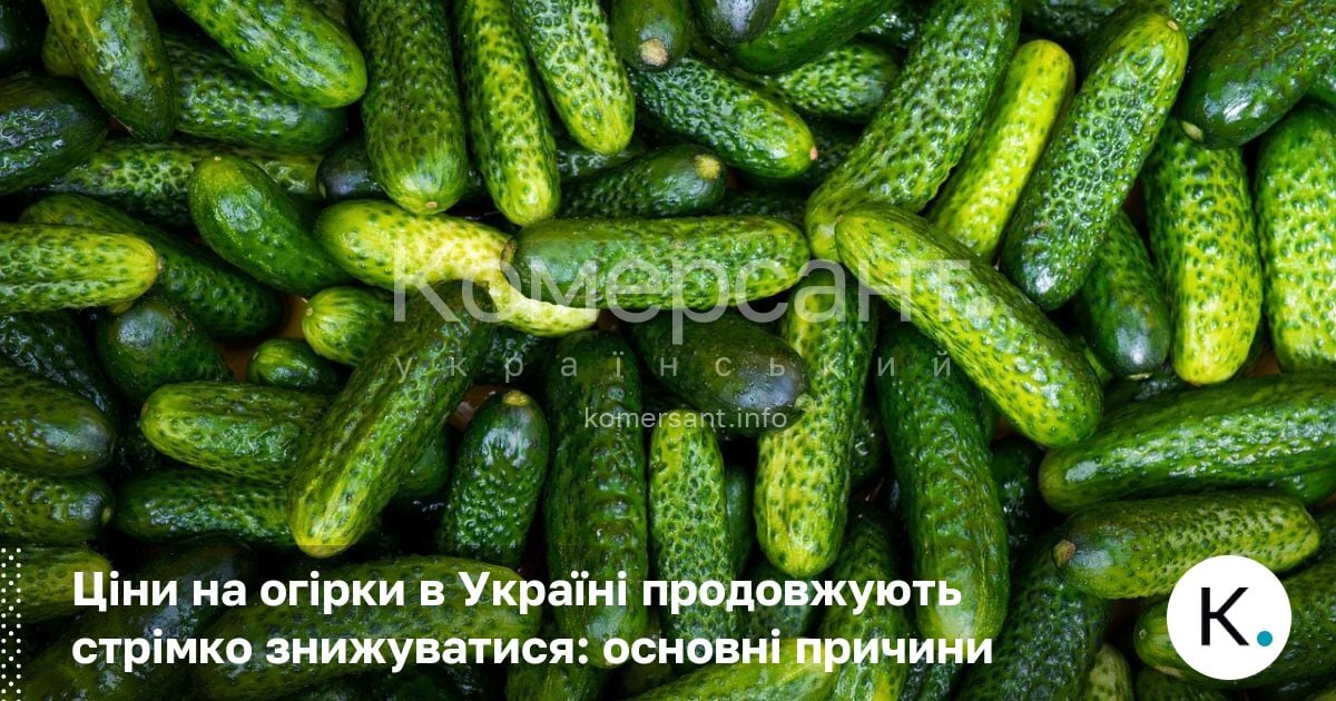 Фото до матеріалу: Ціни на огірки в Україні продовжують стрімко знижуватися: основні причини