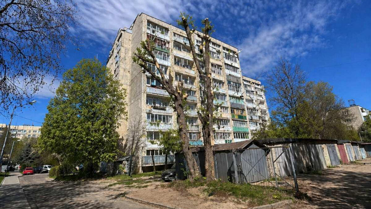 Фото до матеріалу: У Львові чиновницю покарали за публікацію згенерованого ШІ фото обрізаного дерева