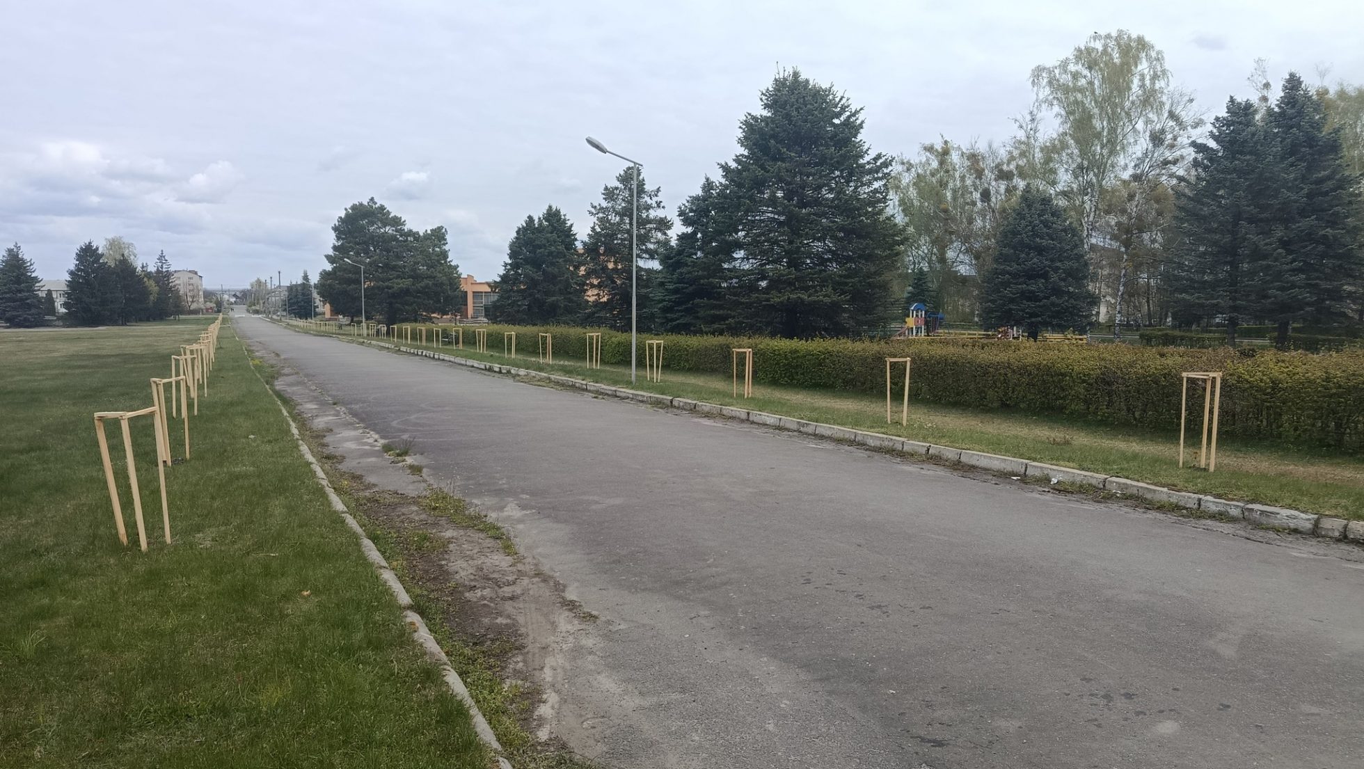 Фото до матеріалу: У Маневичі висадили понад 180 дерев: оновлені алеї та сквери