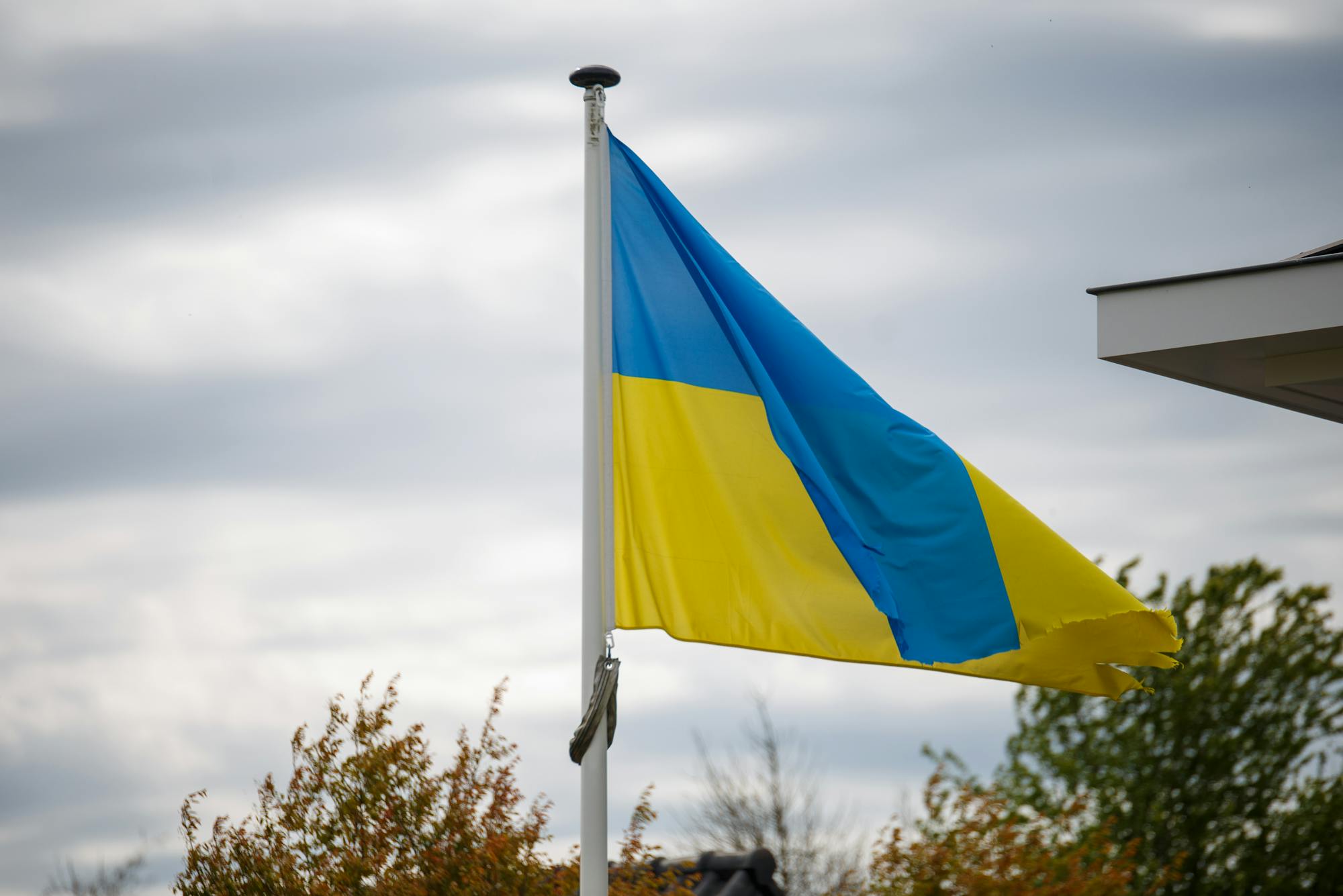 Фото до матеріалу: ППО знищила більшість дронів: знешкоджено 74 із 94