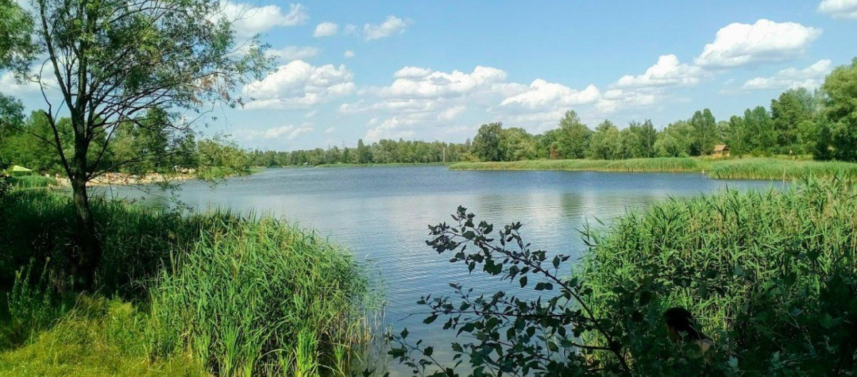 Фото до матеріалу: Зникло кафе та альтанки біля озера Міністерка: Київ повертає природу