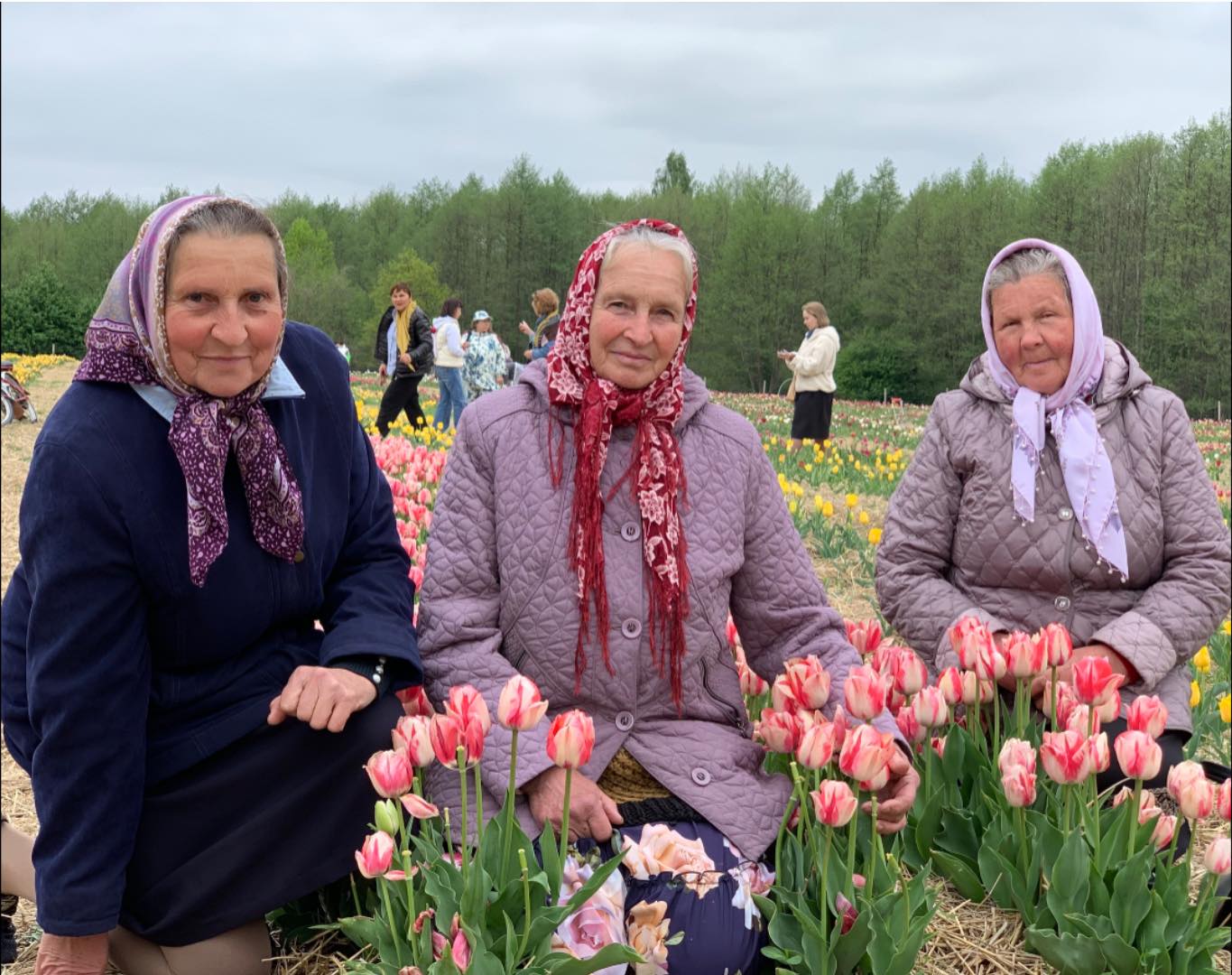 Фото до матеріалу: Мамі захисників із Велимченщини подарували день тюльпанів