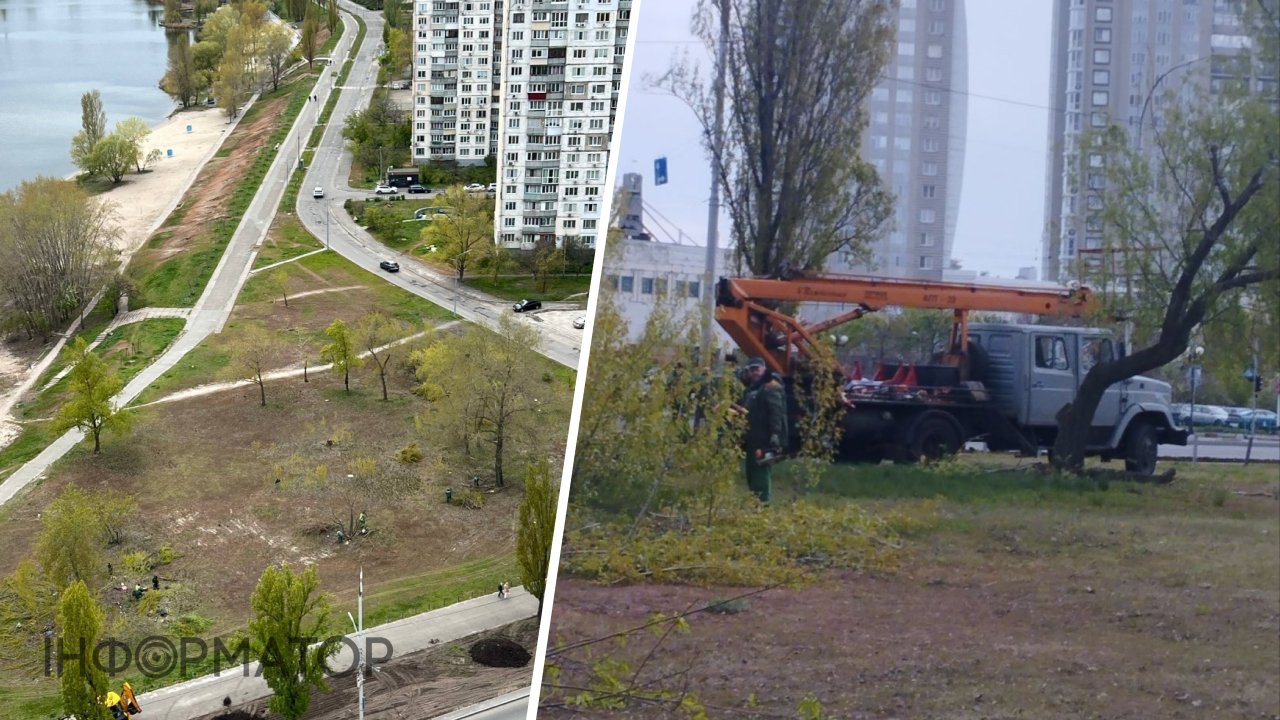 Фото до матеріалу: На Вербному озері в Києві вирізали кущі без тендеру: громада вимагає пояснень