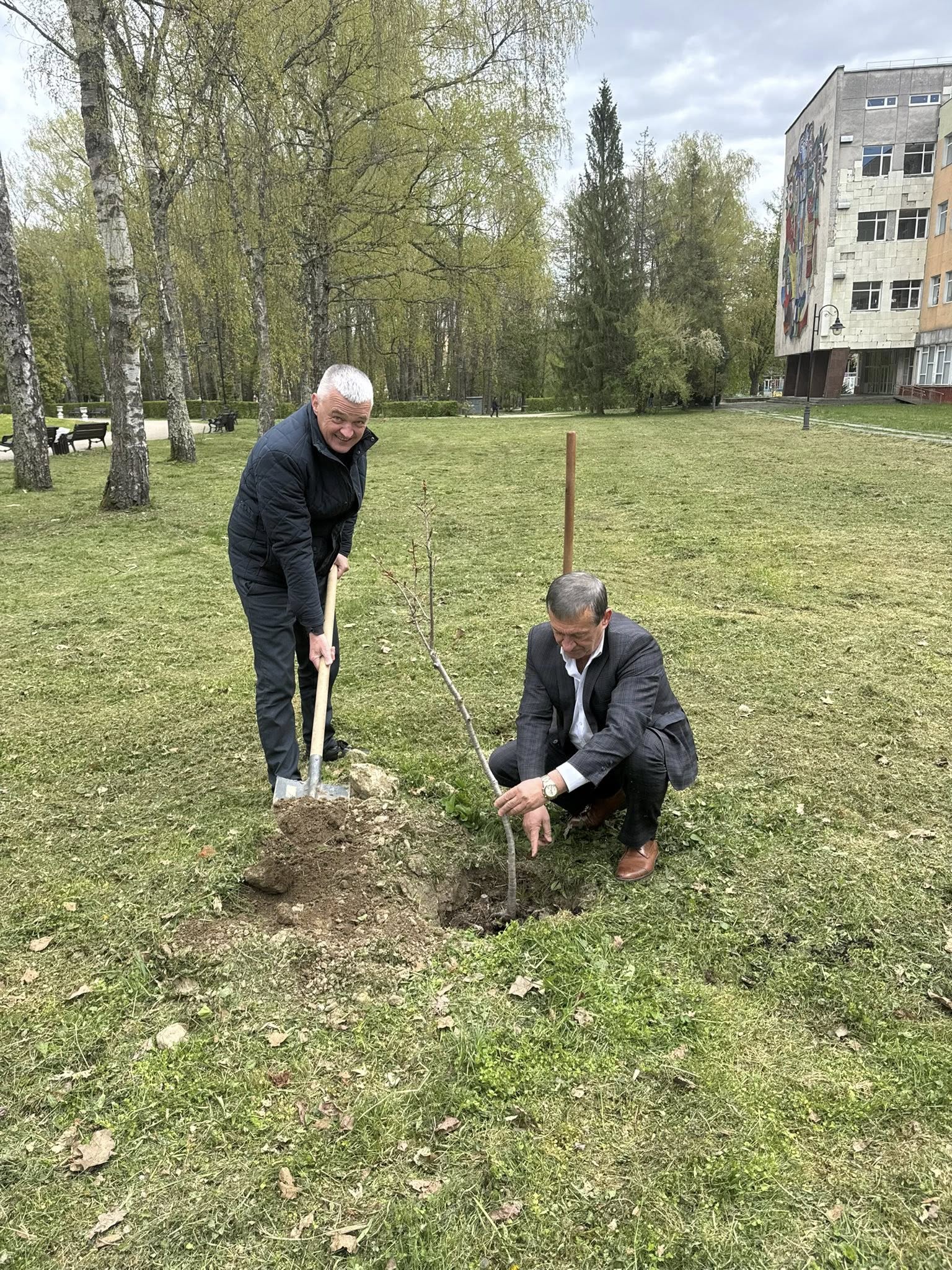 Фото до матеріалу: Моршинська громада висадила дерева пам'яті до 40-річчя Чорнобильської трагедії
