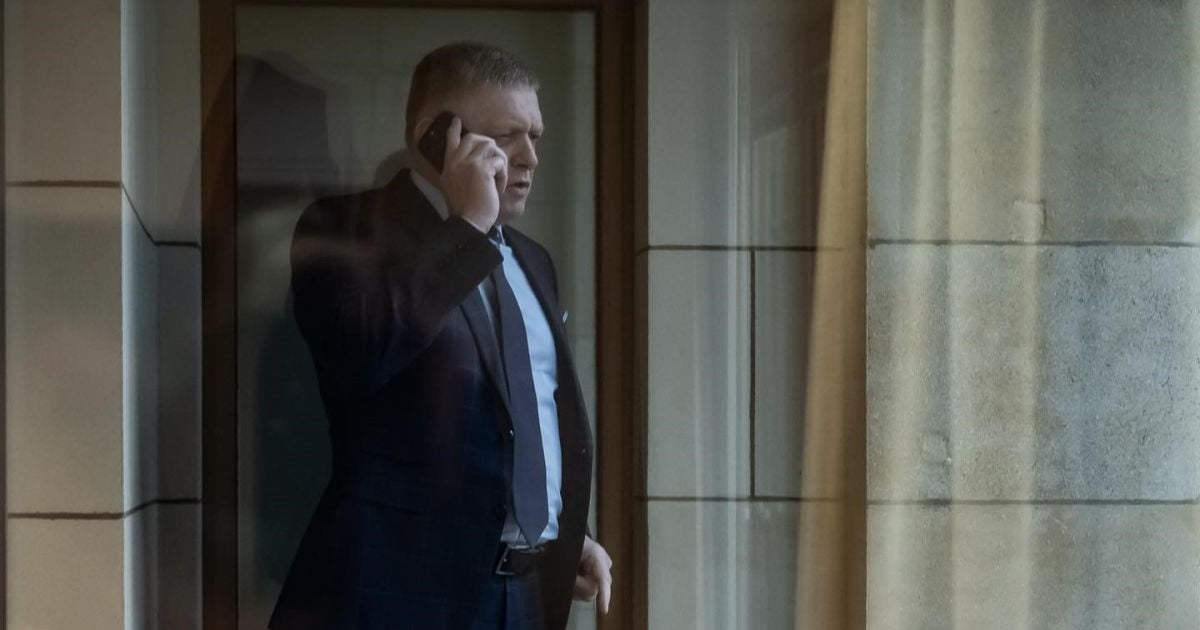 Фото до матеріалу: Коли сіяти кавуни у Володимирі та як виростити солодкий урожай