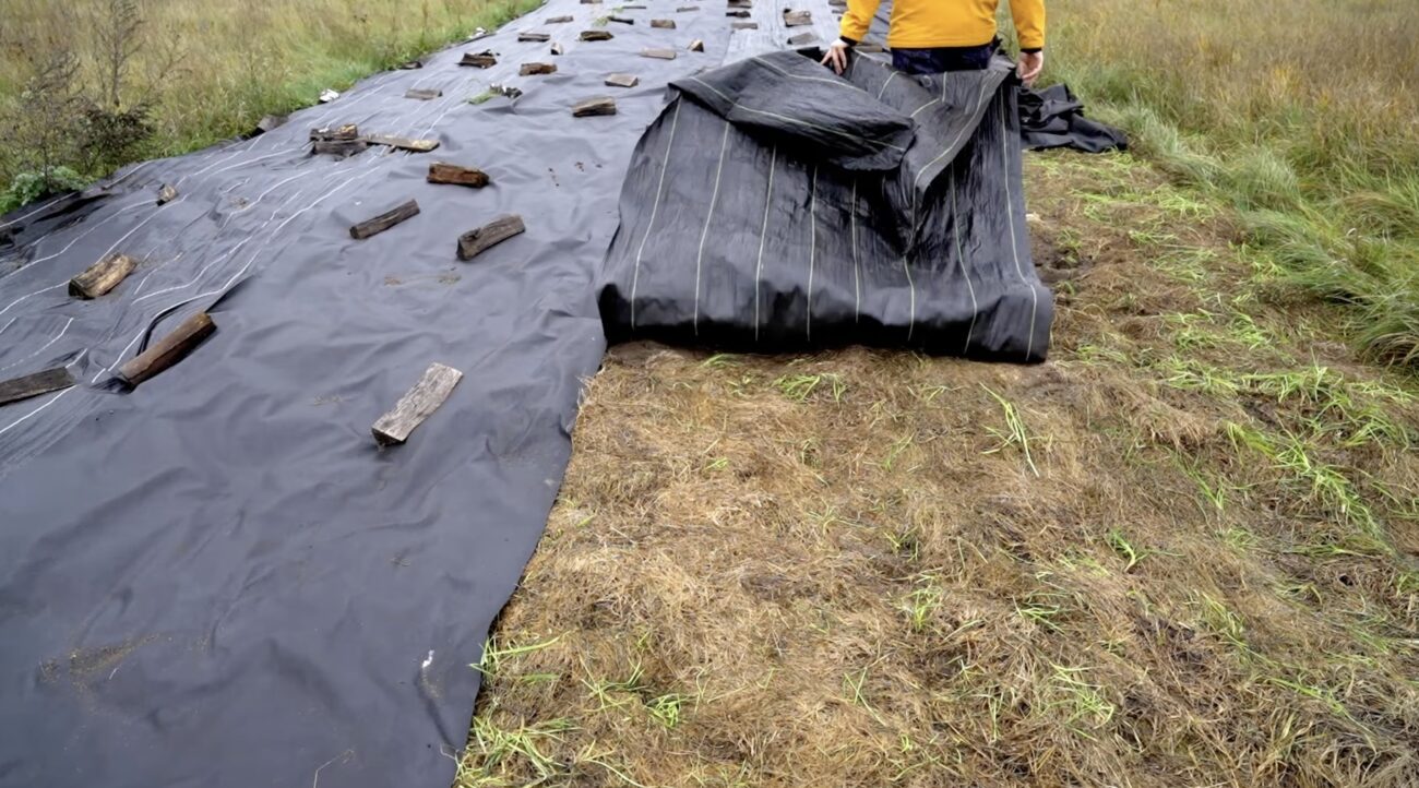 Фото до матеріалу: То холодно, то дощ: дачники розповіли, як прискорити прогрів ґрунту – використовують плівку або добрива