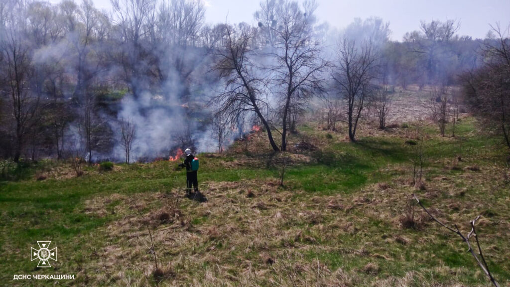 Фото до матеріалу: В Черкаській області вогнем постраждало понад 7 гектарів землі