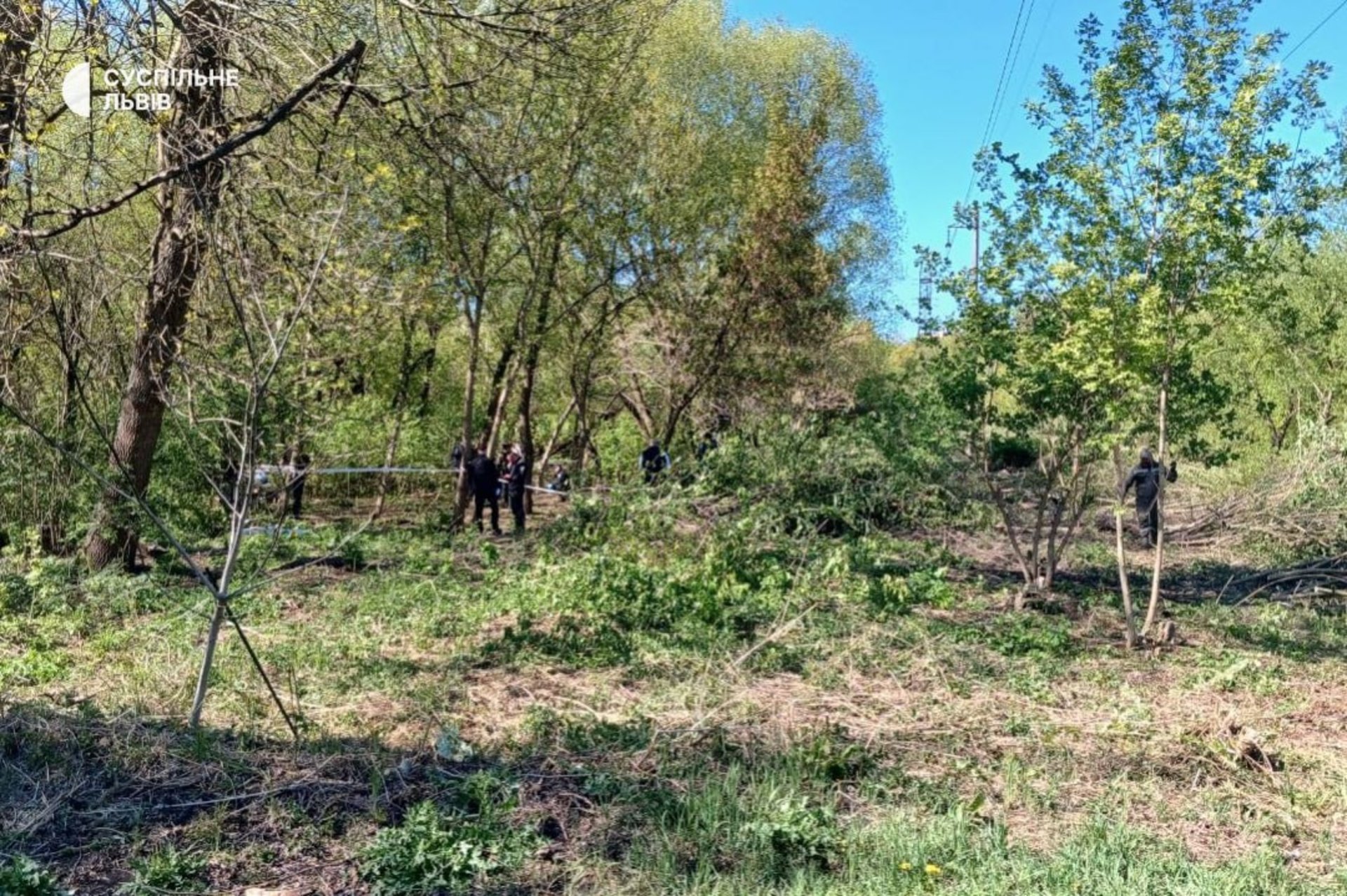 Фото до матеріалу: У Львові у парку ім. 700-річчя знайшли мертве немовля: слідство розпочалося