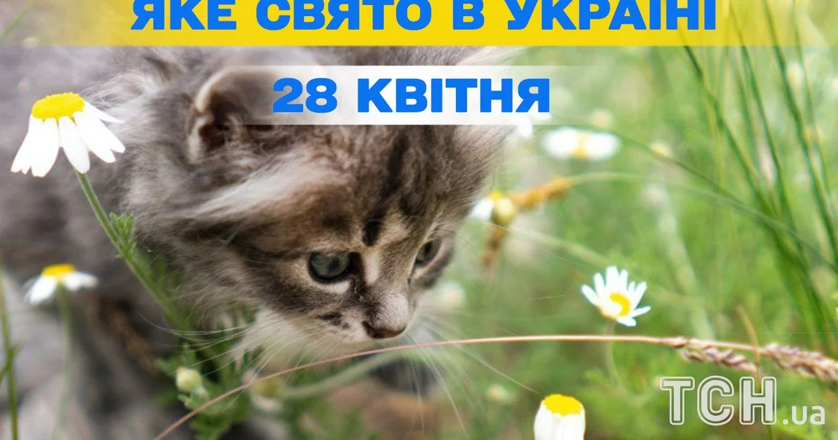 Фото до матеріалу: 28 квітня 2026: свята, пам'ять та безпека праці у Володимирському районі