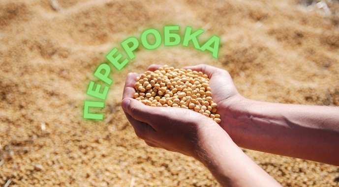 Фото до матеріалу: Аргентина намагається зберегти експорт сої в ЄС через ГМО