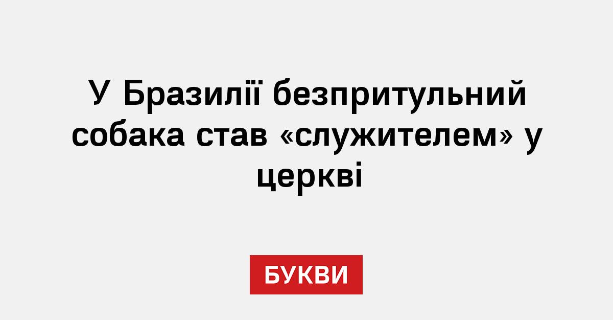 Фото до матеріалу: Бездомний пес став «служителем» у бразильській церкві