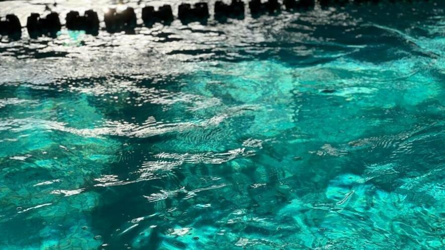 Фото до матеріалу: У Львові підтвердили безпеку води у всіх басейнах та аквапарках
