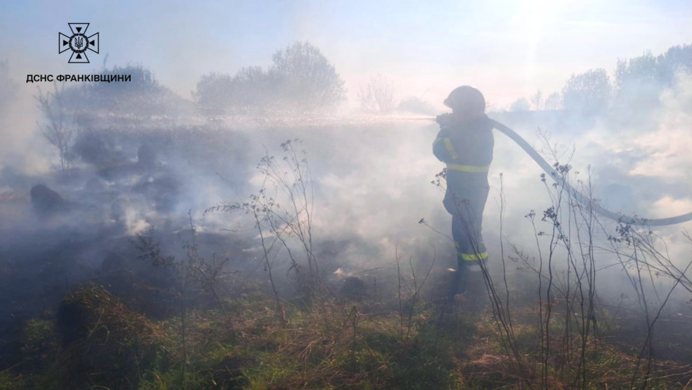 Фото до матеріалу: На Калущині рятувальники всю ніч гасили пожежу в лісі