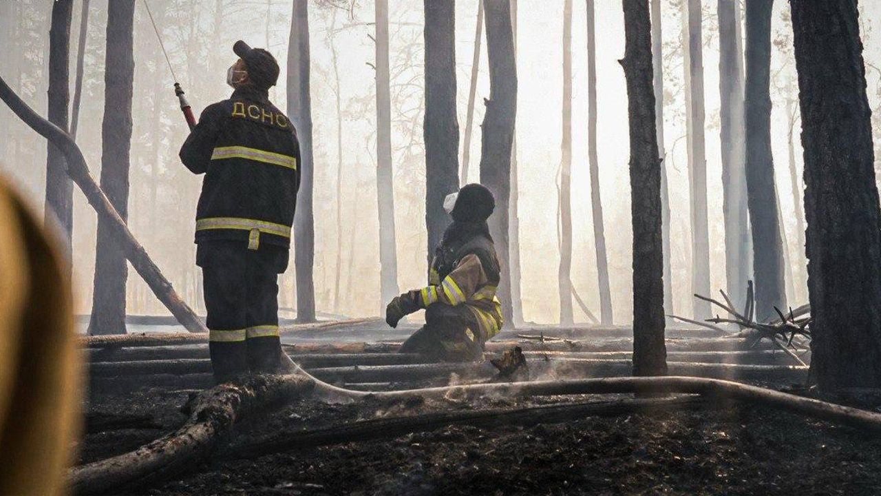 Фото до матеріалу: Пожежа в Чорнобильській зоні відчуження: рівень радіації в Україні в нормі