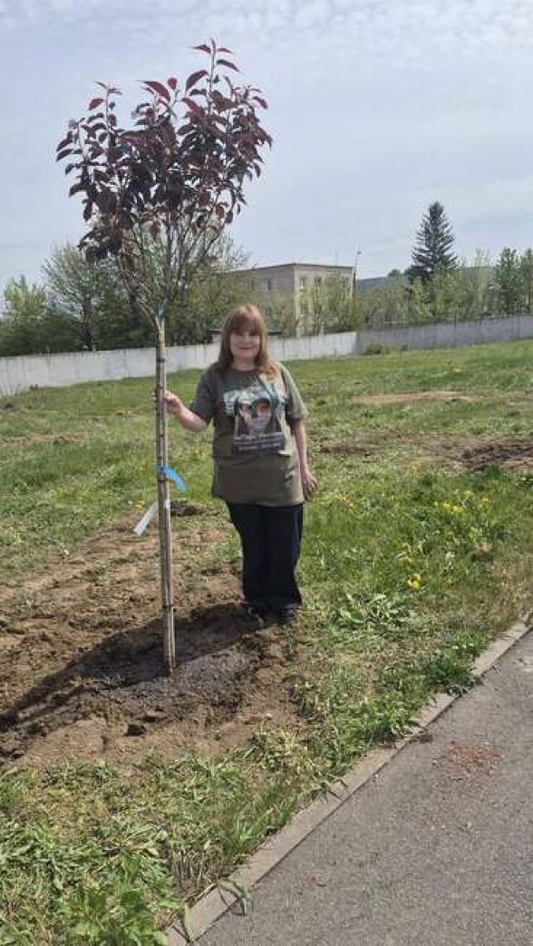 Фото до матеріалу: Матері загиблих захисників створили алею сакур на Сабарівському кладовищі