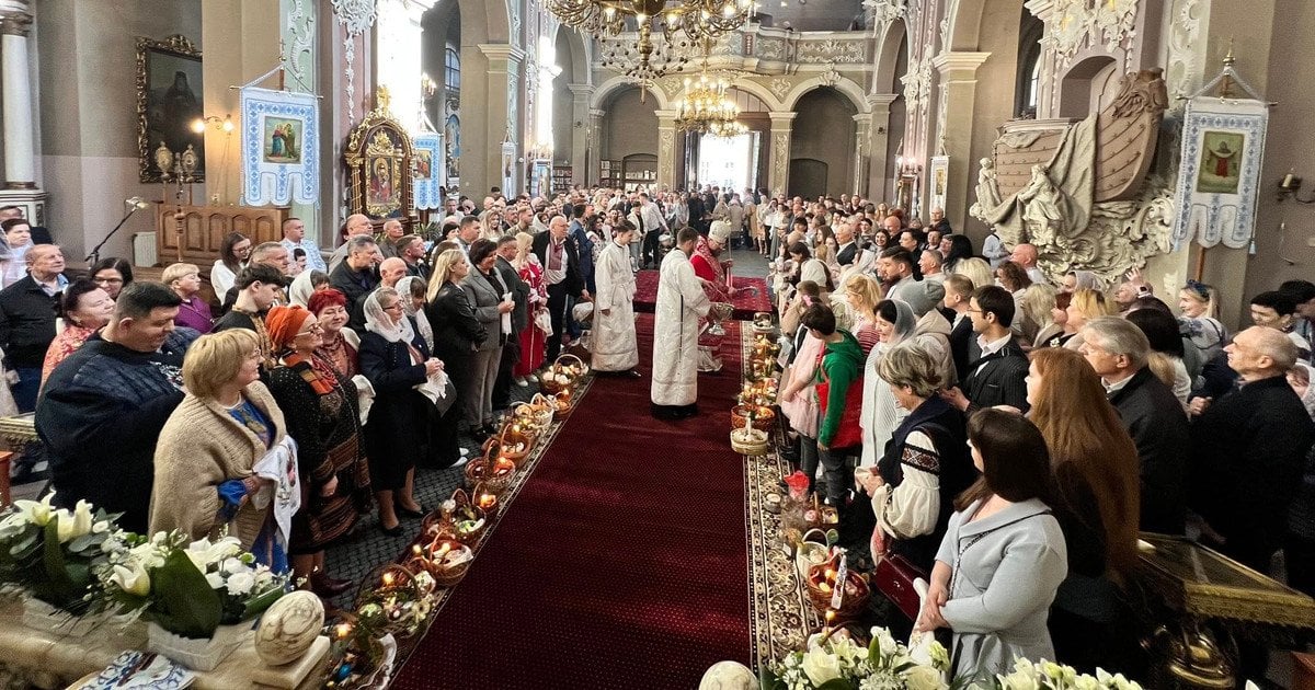 Фото до матеріалу: Жінка потрапила в реанімацію через укус змії на Львівщині: що відомо