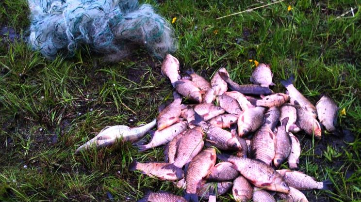 Фото до матеріалу: Браконьєрів ловлять під час нересту: на Вінниччині вилучили човен і сітки