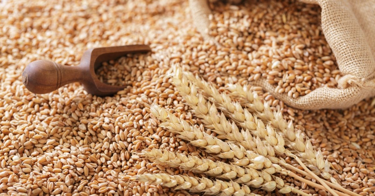 Фото до матеріалу: Україна експортувала 5,7 млн тонн агропродукції у квітні: зернові лідерують