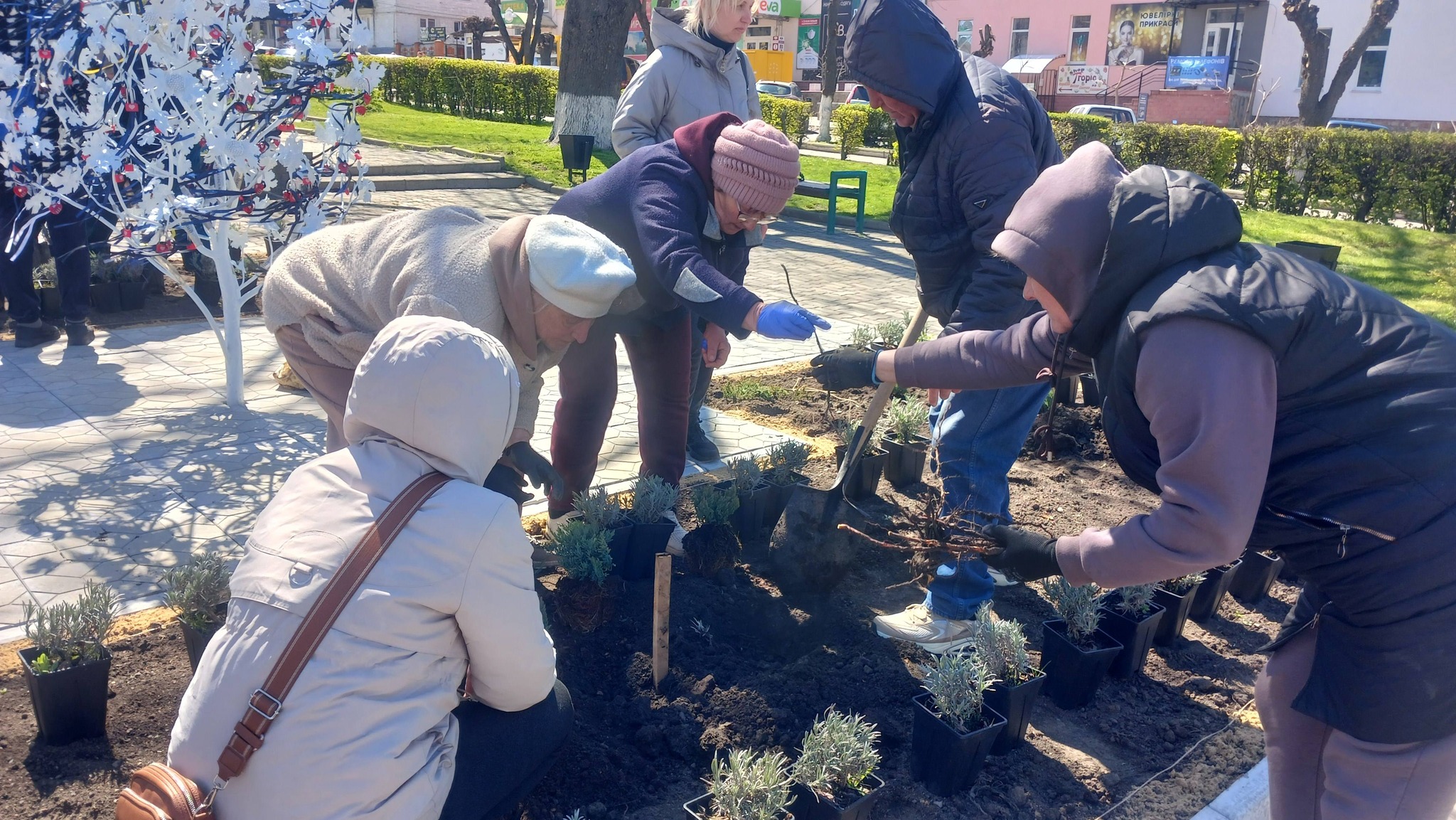 Фото до матеріалу: Родини військовополонених висадили живий символ надії у Тальному