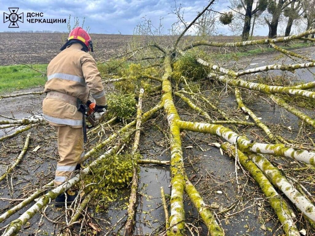 Фото до матеріалу: Трагедія у Черкасах: дерево впало на квадроцикл — загинула жінка