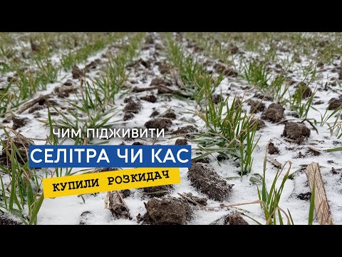 Фото до матеріалу: Ціна свинини забезпечує прибуток, але галузь стикається з новими викликами
