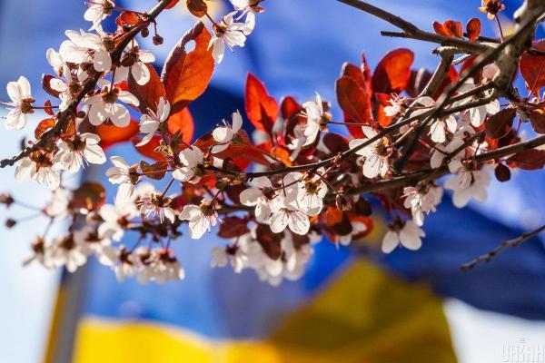 Фото до матеріалу: Що святкувати 5 травня: свято великомучениці Ірини, прикмети та заборони
