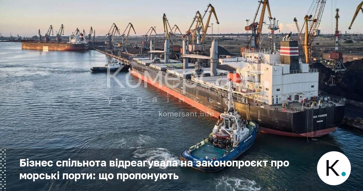 Фото до матеріалу: Бізнес спільнота вимагає чітких механізмів захисту портової інфраструктури