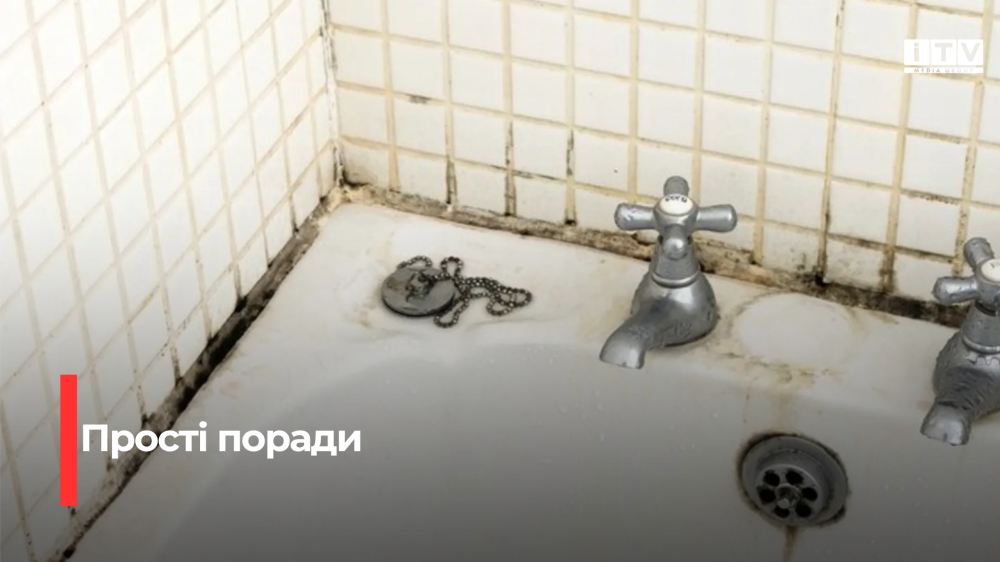 Фото до матеріалу: Як назавжди позбутися плісняви у ванній кімнаті: покрокова інструкція
