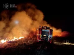 Фото до матеріалу: Шацька громада отримала новий транспорт від німецьких партнерів