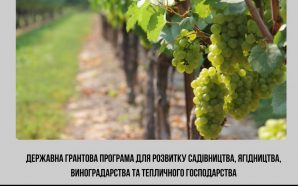 Фото до матеріалу: Забув, де припаркував авто: франківець отримав штраф за хибний виклик поліції