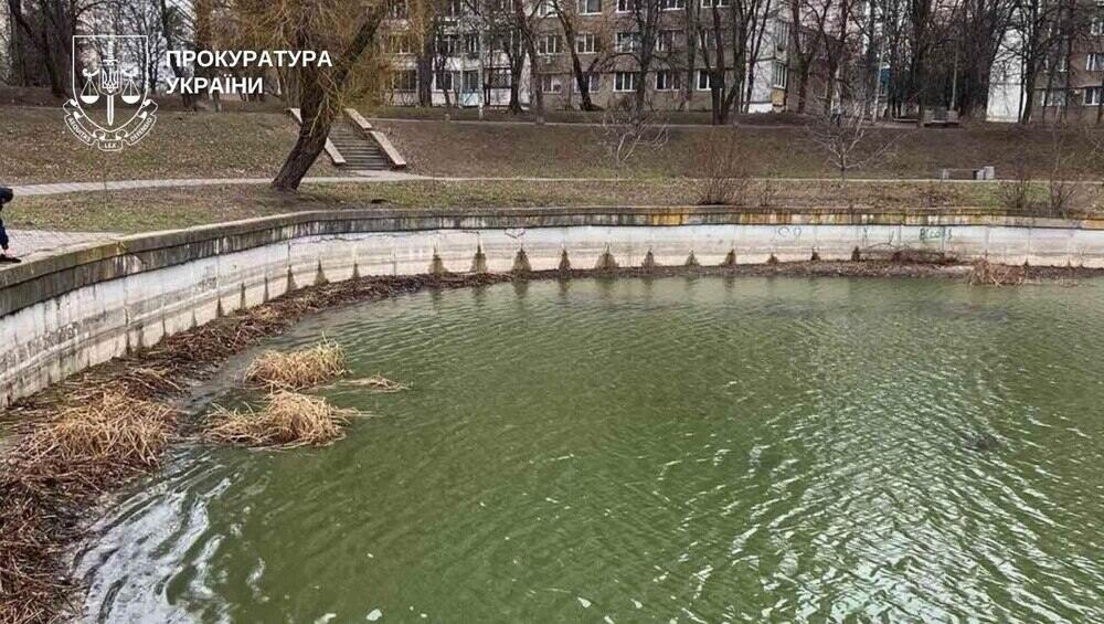 Фото до матеріалу: Трагедія в Олізарівці: на пожежі в приватному будинку загинула жінка