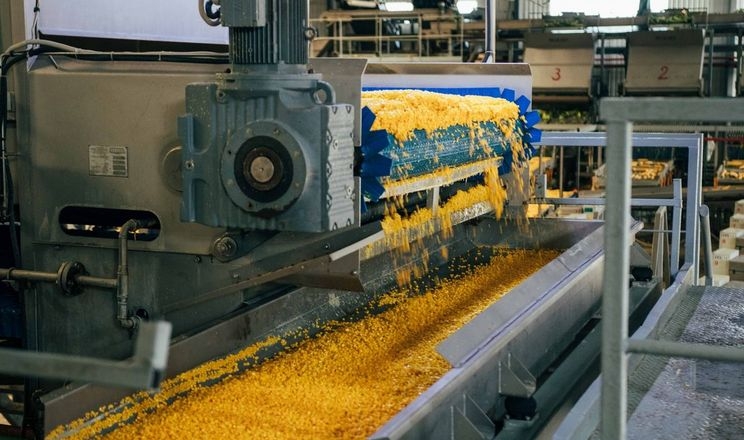 Фото до матеріалу: Бізнес отримав понад 70 млрд грн на переробку продукції за програмою «5-7-9%»