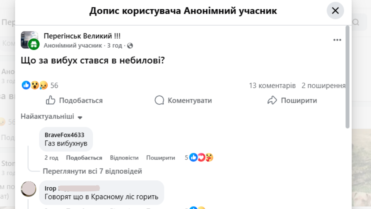 Фото до матеріалу: У Небиліві локалізували велику пожежу лісової підстилки