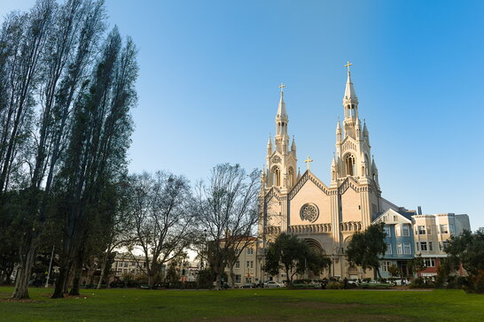 Фото до матеріалу: 900-кілограмовий морський лев став зіркою туризму в США