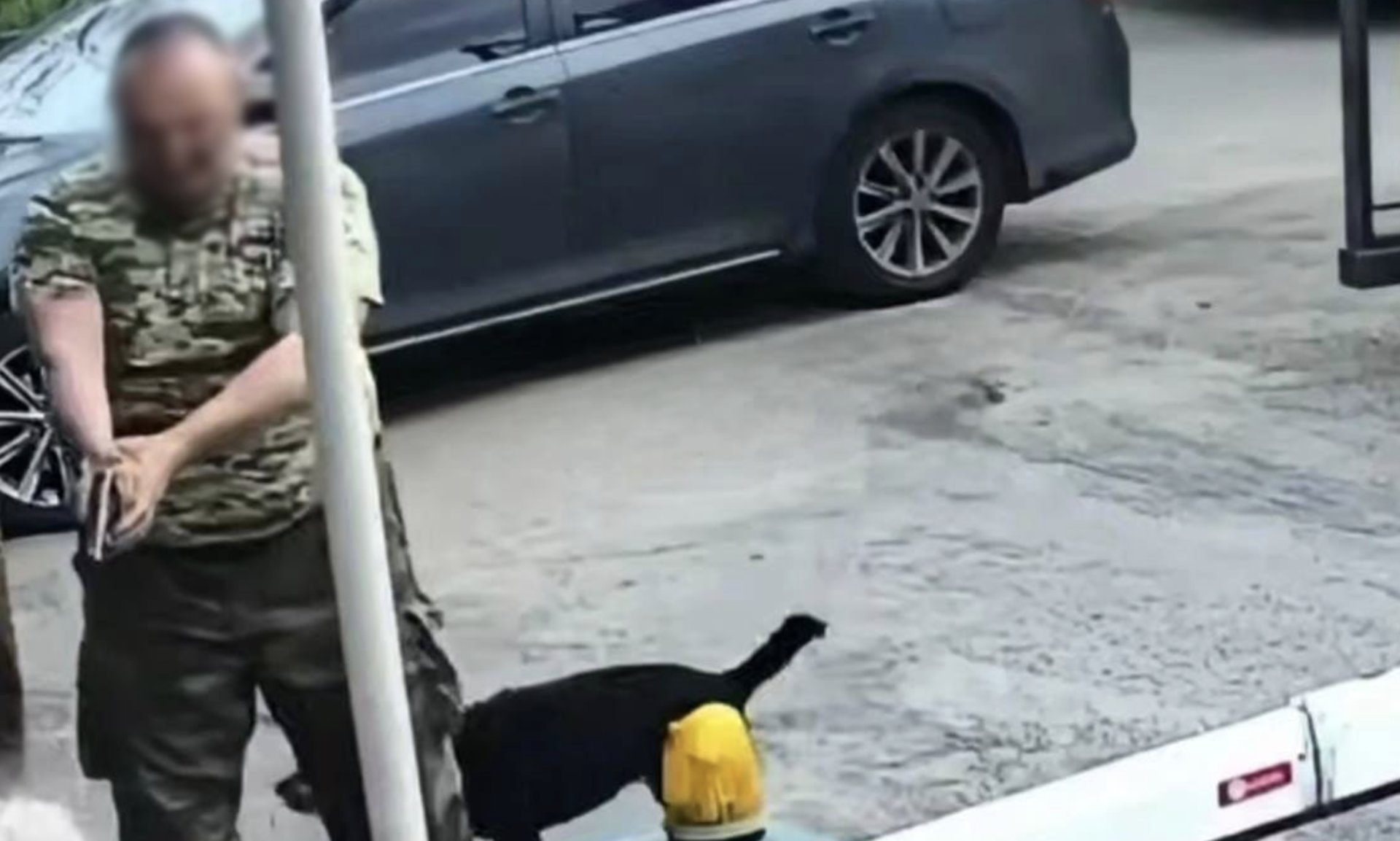 Фото до матеріалу: У Києві чоловік зібралася зброєю через собаку