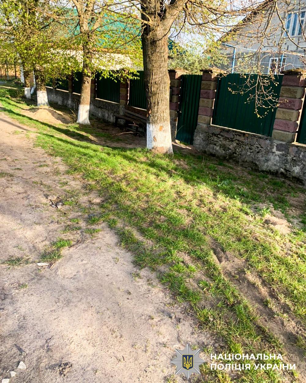 Фото до матеріалу: На Сарненщині з підводи впали і важко травмувалися двоє юнаків