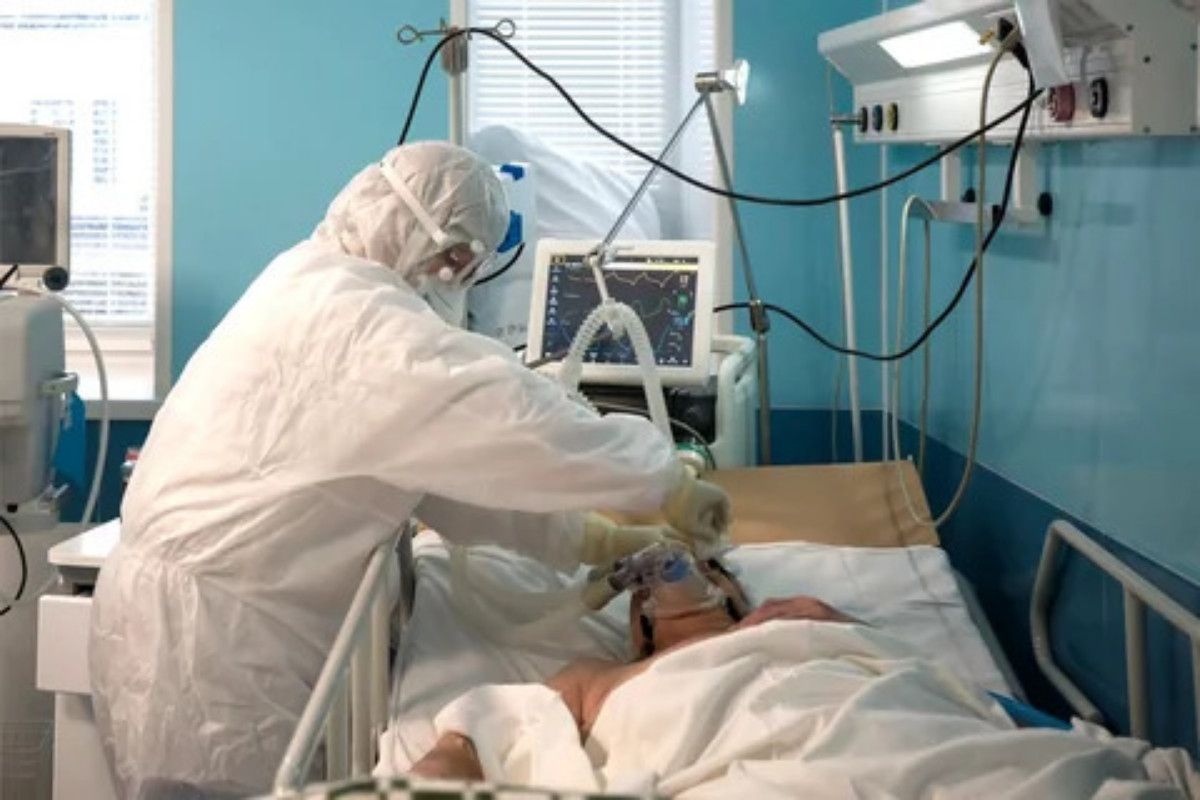 Фото до матеріалу: Спалах хантавірусу: чому весняне прибирання може загрожувати здоров'ю