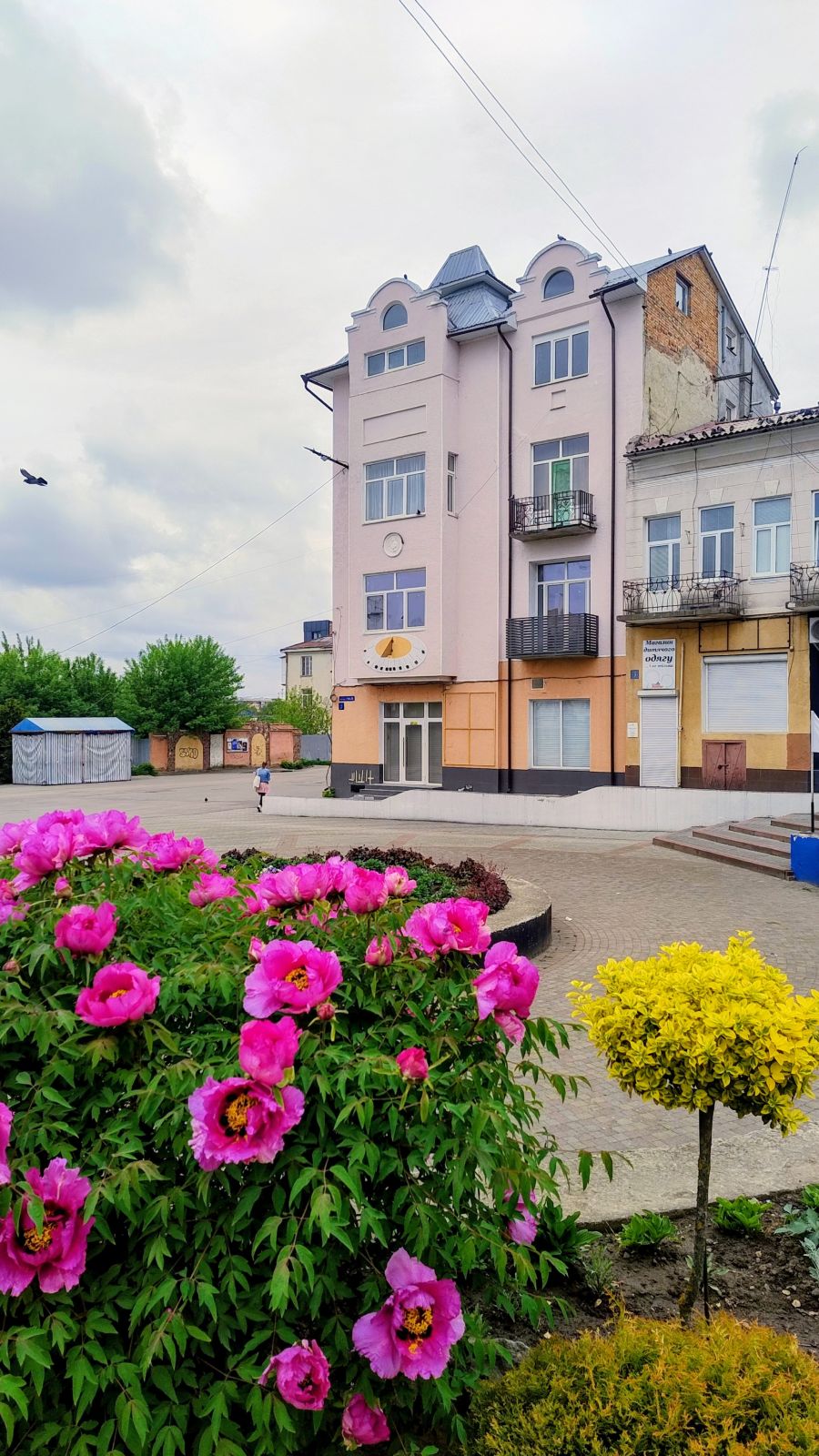 Фото до матеріалу: Прикарпаття готується до перших заморозків: синоптики попереджають про сильний вітер і різке похолодання
