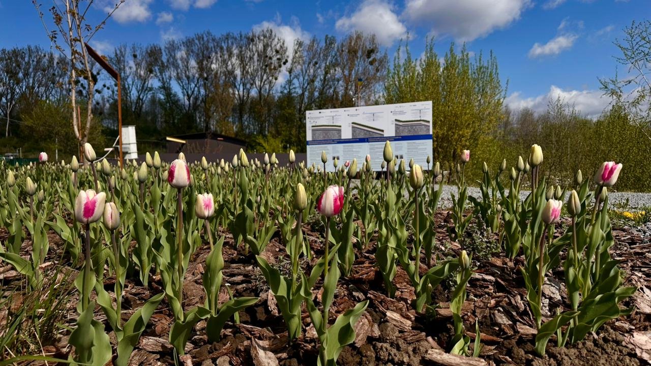 Фото до матеріалу: Львів перетворив гігантське сміттєзвалище на парк: історія трансформації Грибовиць
