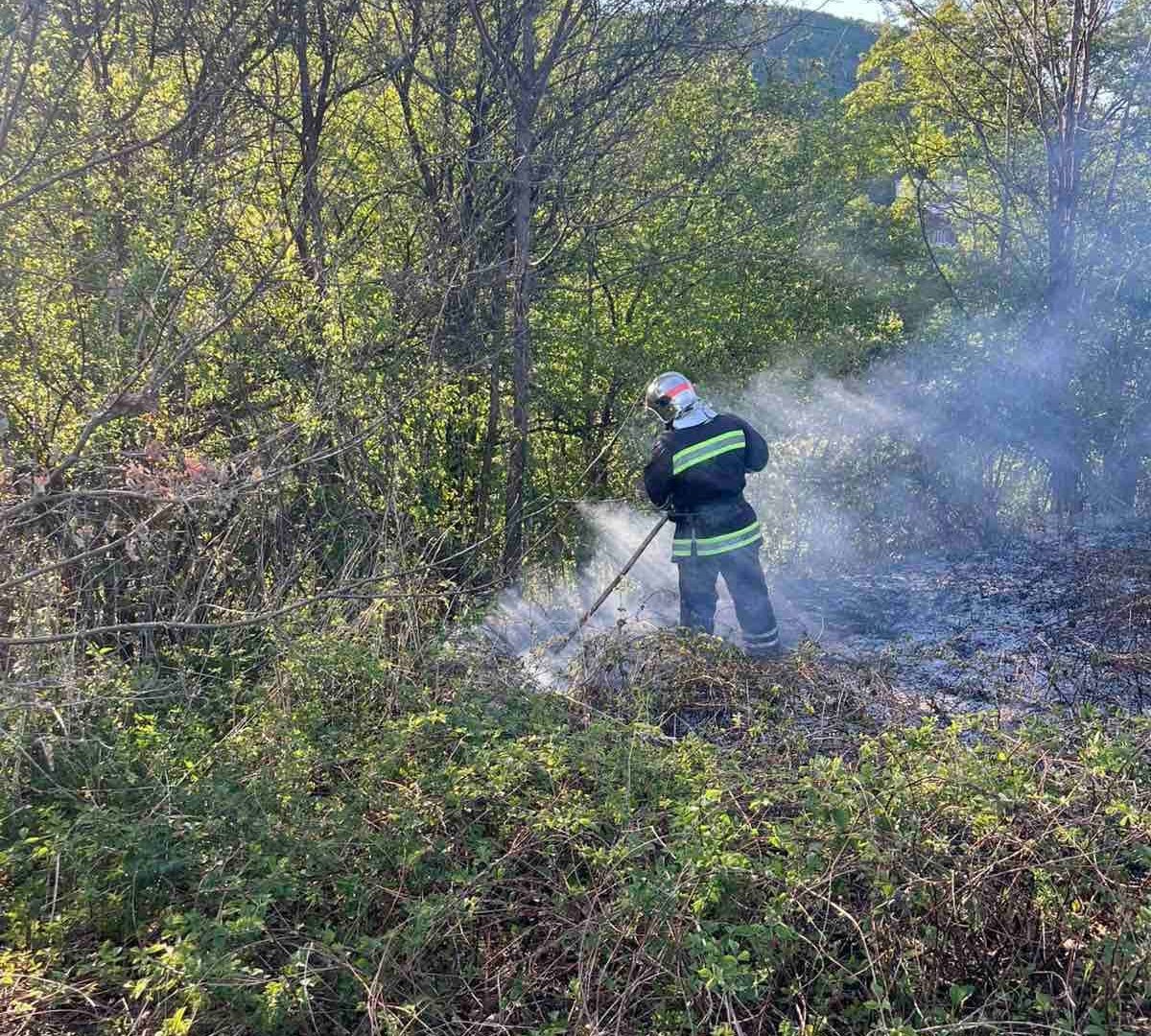 Фото до матеріалу: Густий чорний дим і запах гару: що сталося в Хустщині вчора