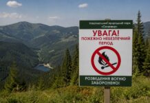 Фото до матеріалу: Вчені виявили вік початку погіршення пам'яті: перші симптоми старіння мозку