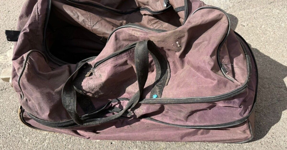 Фото до матеріалу: У лісопарку на проспекті Чорновола знайшли тіло немовляти: поліція шукає свідків