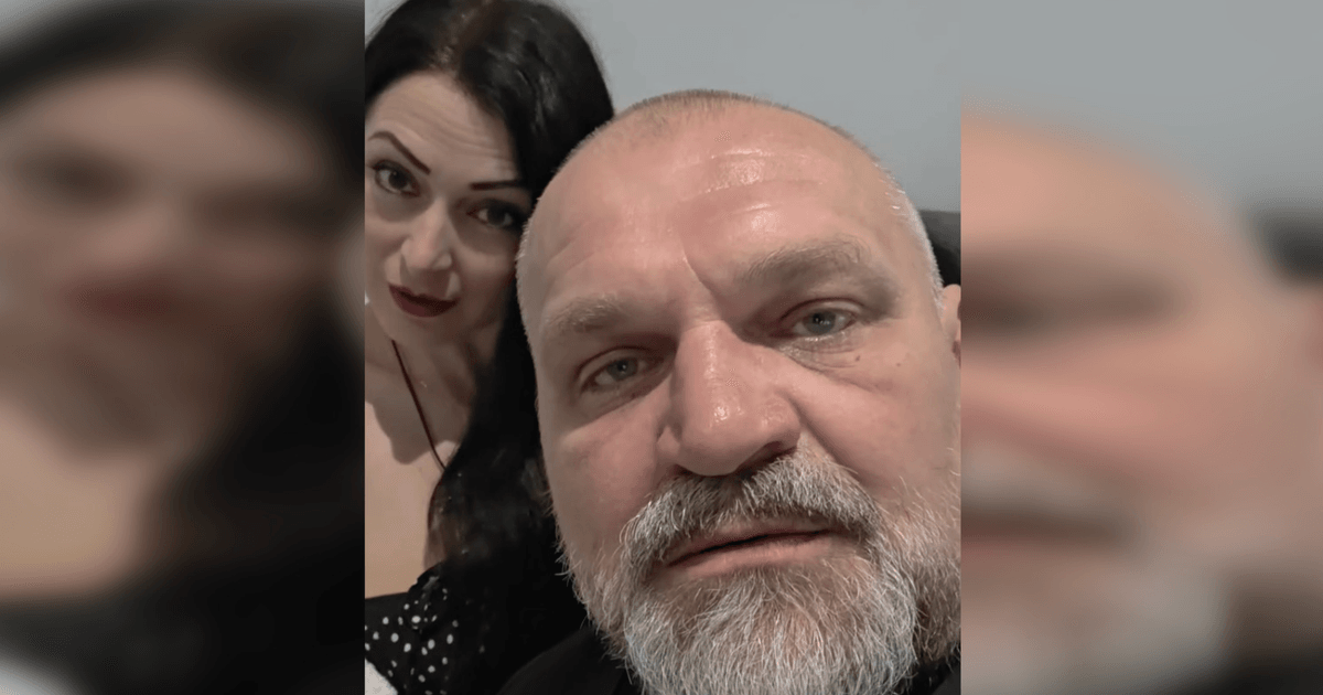Фото до матеріалу: Кішка нардепа Василь Вірастюк народила чотирьох кошенят
