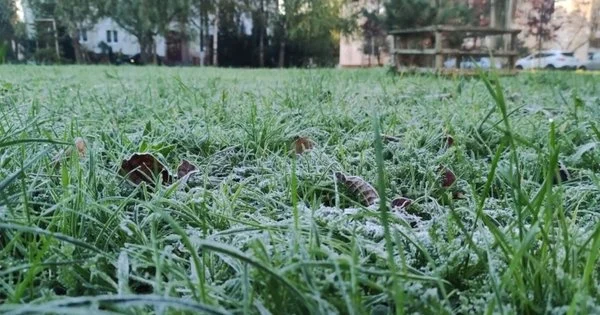 Фото до матеріалу: У Львові друга ніч поспіль з температурними рекордами: -2,5°С морозу