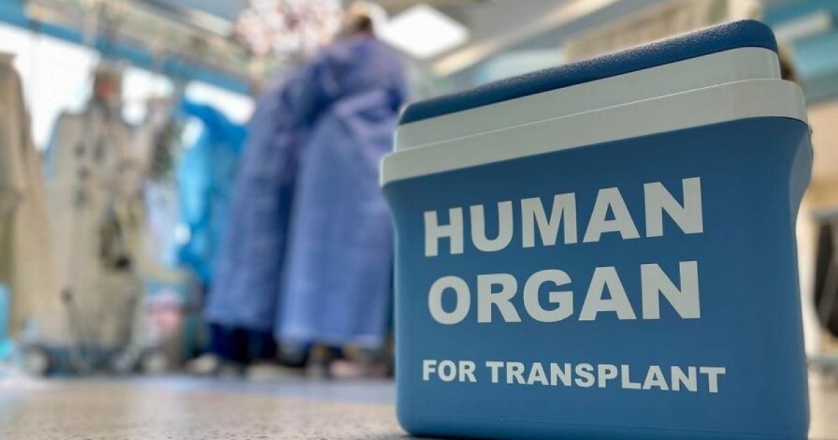 Фото до матеріалу: Трансплантація органів в Україні: повний безоплатний маршрут для пацієнтів