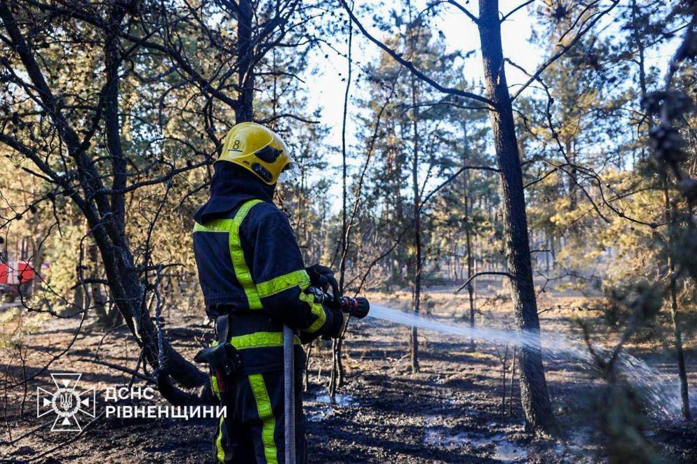 Фото до матеріалу: На Сарненщині ліквідують пожежу на площі 90 гектарів: загрози населенню немає