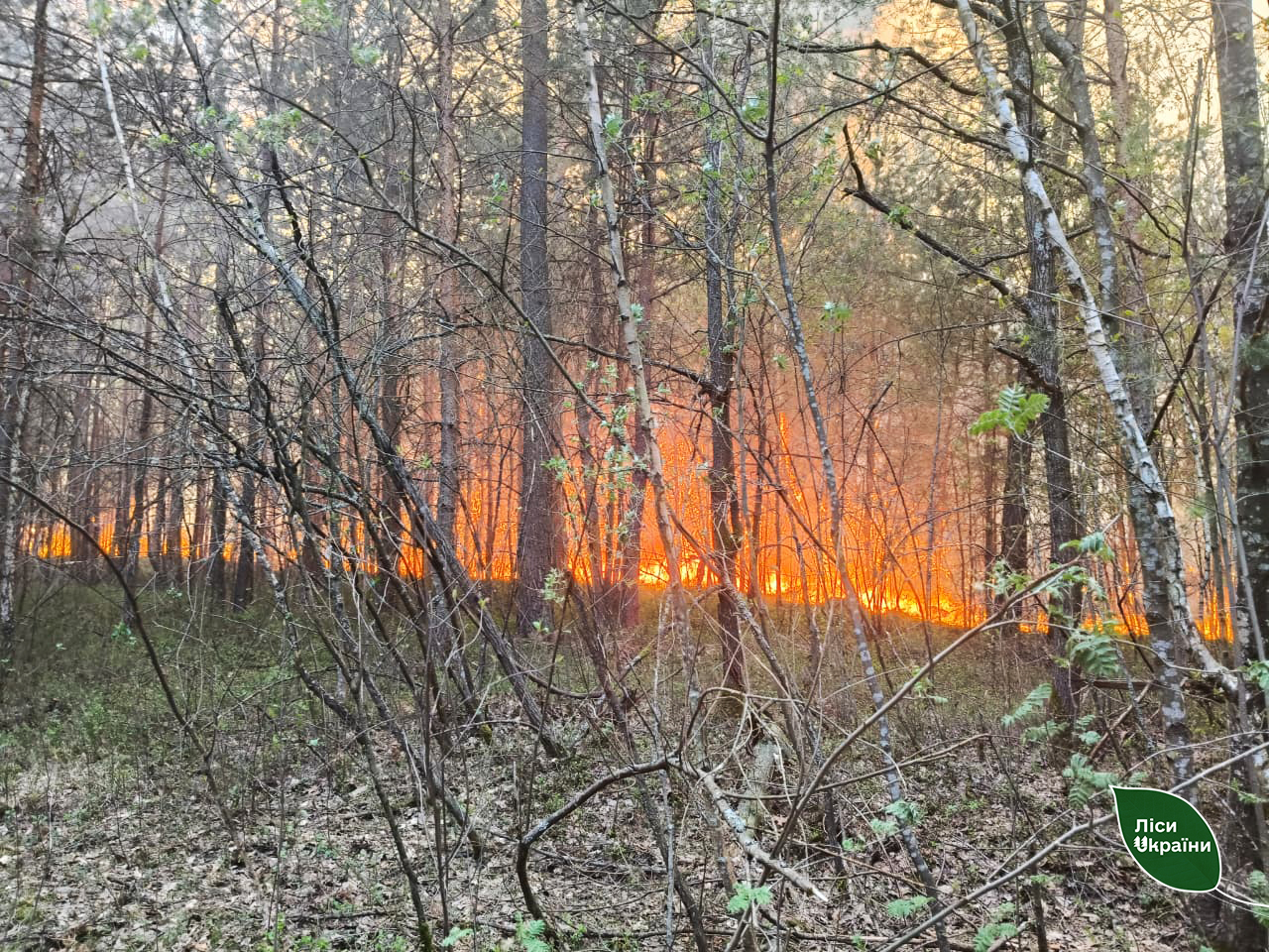 Фото до матеріалу: У Карпатах вогонь не розгорівся: рятувальники ліквідували понад 200 гектарів пожеж